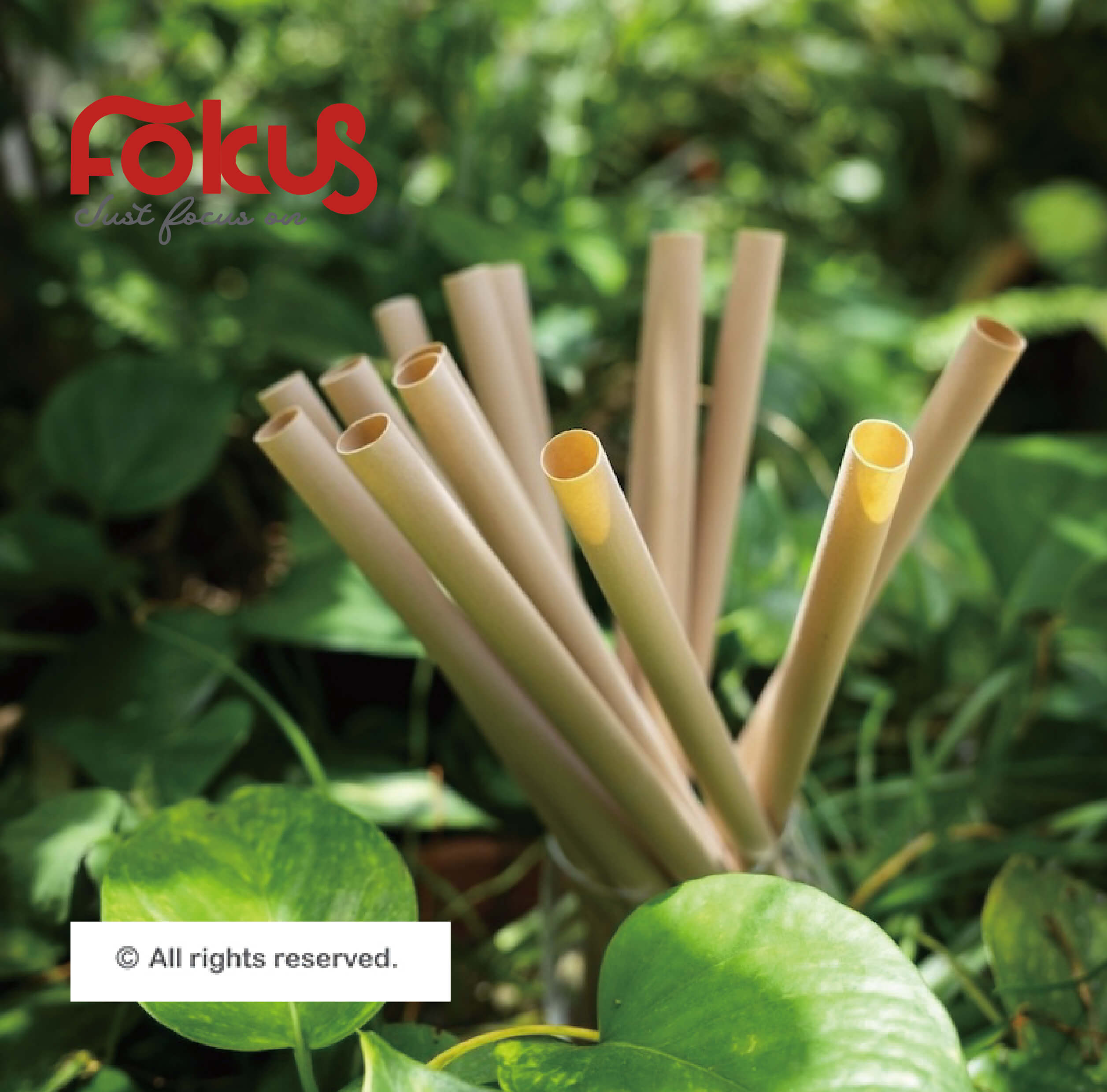 Tea fiber straws from the Home Compost Series – biodegradable and home compostable